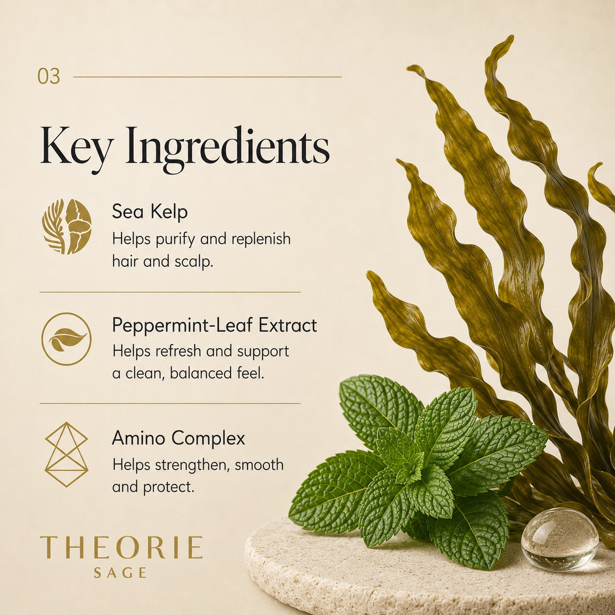 Key ingredients of a hair care product with sea kelp and peppermint leaves on a beige background.