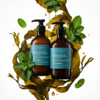 Sea Kelp & Mint Purifying Shampoo & Conditioner Set