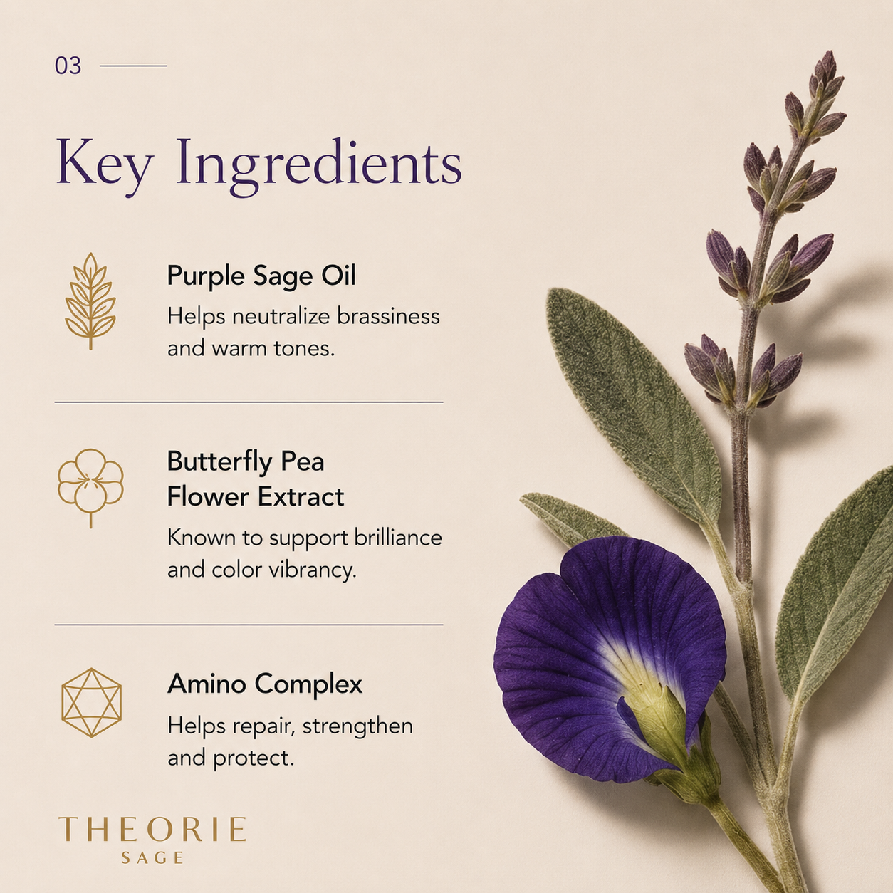 Purple Sage Brightening Shampoo