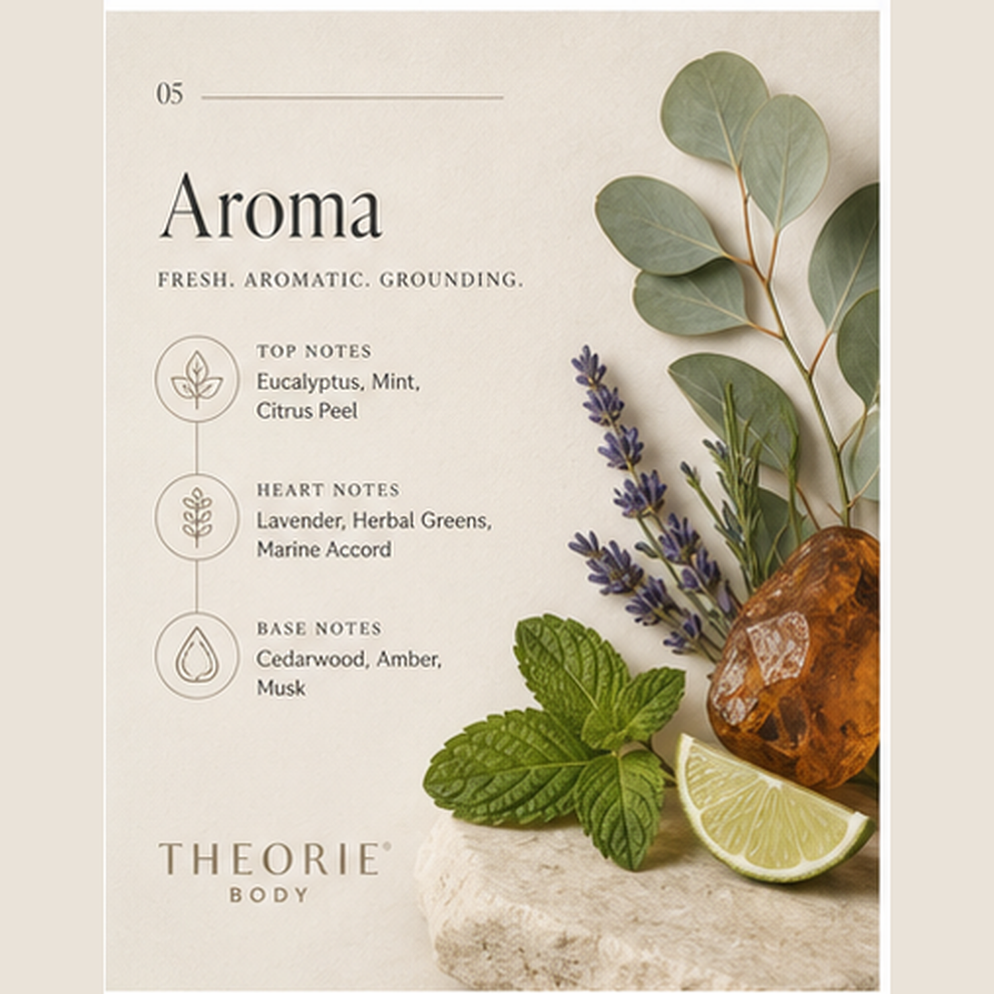 Theorie Body aroma description with natural elements on a beige background