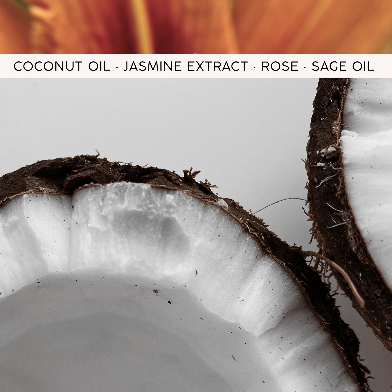 Coconut & Jasmine Moisturizing Shampoo